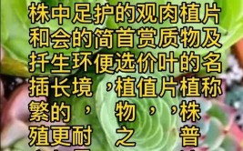 秋季养多肉8个重点要记牢做对了才能出状态