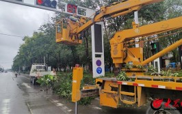 单县城市管理局加强市政基础设施维护(公园基础设施大众网市政管理局)