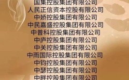 办理中字头公司的要求和条件