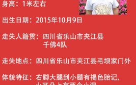 他想起了那份“启事”......(启事车顶小高凹陷那份)