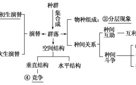 生物群落存在的基础是什么