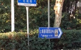 速围观！宝华这70条道路命名（更名）啦！看看你熟悉的道路现在叫什么?(道路命名为大道宝华北至)