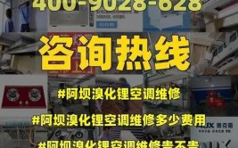 井冈山电厂电空调及溴化锂中央空调维护保养服务期三年招标公告(溴化锂中央空调空调招标电厂)