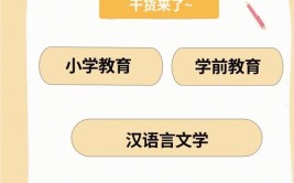 成考小学教育好就业吗