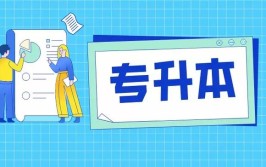 山东省专升专业难度分级共有5个层次网友在塔尖的咋办