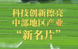 长春：现代农业擦亮“粮食芯片”科技创新驱动“汽车强国”(现代农业科技创新强国擦亮芯片)