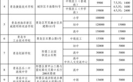 青岛大学中外合作办学学费多少钱一年