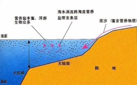 北海道渔场是怎么形成的