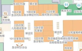 省级区域医疗中心会改变什么？(医院医疗区域省级南方周末)