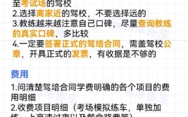 为什么没车也一定要去考驾照？网友说：现在不考以后一定会后悔(驾照备胎考驾照买车网友)