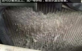 到底要不要清洗水箱？(水箱防冻液清洗更换水垢)