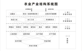 如何优化产业结构