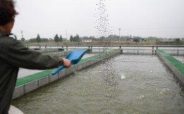 浙江余姚淡水养殖跑上健康绿道