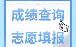 新高考是先出成绩后填志愿吗