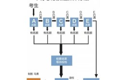 六个平行志愿怎么录取