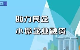 为小微企业提供全方位支持(企业银行小微融资金融)