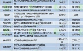 湖南宁乡加快建设工业强市 集中精力“练内功”(企业智能亿元电池新能源)