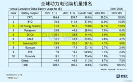 车企纷纷上马电池工厂 动力电池龙头企业如何应对？(电池时代动力电池企业大众)