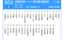 西安市民 将新开198、156路公交车 调整302、503路线路(路口西路南路木塔科技)