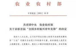 广东省乡村振兴先进集体和先进个人推荐名单公布(书记村委会主任农业镇党委)