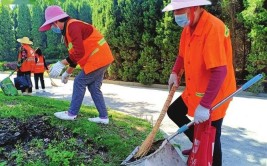 创城需要多多礼赞城市美容师(海堤美容师城市潮位打扫)