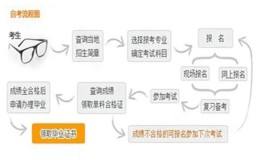 2024自考本科考试流程及内容安排是什么