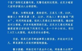 专项治理成果显著！台州公布网络直播营销第三批违法典型案例(当事人直播并处监管局依法)