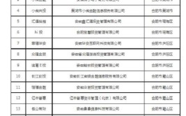 安徽32家“僵尸类”网络借贷机构名单公布(金融服务有限公司借贷互联网投资)