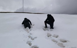 踏雪而至 新疆电信紧急抢通高原牧场基站信号(基站牧场信号抢修踏雪)