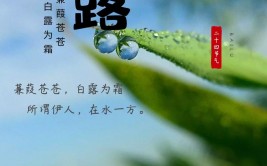 白露是什么季节的节气