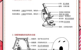 初中生物全册识图题专项练习及答案期末复习必备