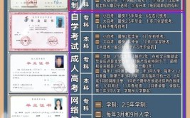 国企承认自考本科学历吗