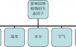 论文推荐  常见园林植物对NO₂胁迫的耐受性及吸收与恢复能力