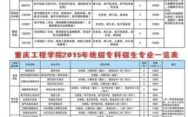 重庆服装工程职业学院2016招生章程