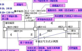 教你学会如何快速看懂图纸（土建必学）(标高尺寸检查钢筋图纸)