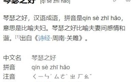 成语琴瑟之好是描述什么