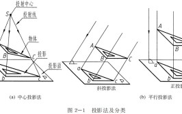 投影法可分为_______投影法和_____投影法