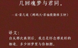 可惜思念无声,幸好思念无声什么意思