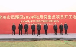 2024年宝鸡市市级重点续建项目名单(续建项目高新区凤翔建设项目)