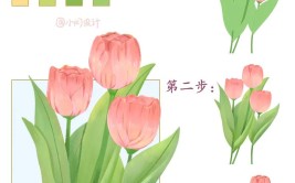 开花郁金香花心教程来了教程