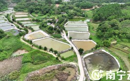 良庆区科技赋能智慧养殖 走鳖具一格的乡村振兴路