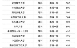 2024年新疆985和211大学最低录取成绩