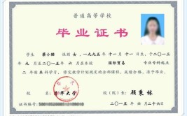 本科以上学历是什么意思