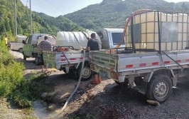 修文县平滩村：为猕猴桃“解渴”百车运水抗旱忙(猕猴桃抗旱果树旱情绝收)