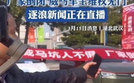 【江右财经】维修自掏腰包、配件缺货、保养难……11万威马车主售后“无门”(汽车重整维修管理人配件)