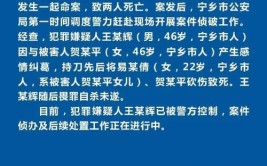 假装路人报警，法院判了！(民警肇事专案组死亡报警)