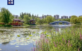 京城湿地公园最凉爽(湿地公园京城避暑延庆)