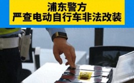 非法改写新能源车电池数据  上海警方侦破一起破坏计算机信息系统案(电池组电池数据新能源故障)