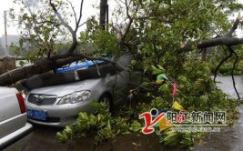 台风过后车坏房损咋索赔？这里有答案(台风车辆保险公司理赔涉水)