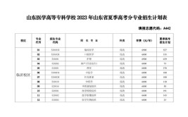 山东医学高等专科学校是虚假大学吗